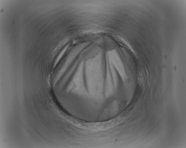 X0000073750023200608241358