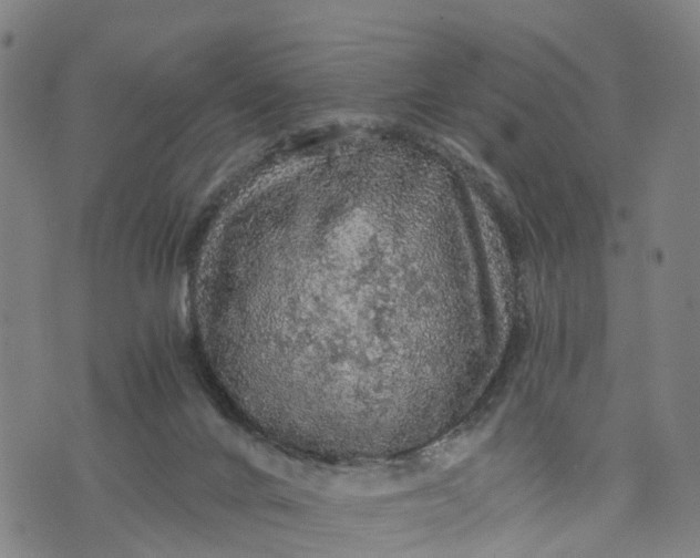 X0000073750024200608241358