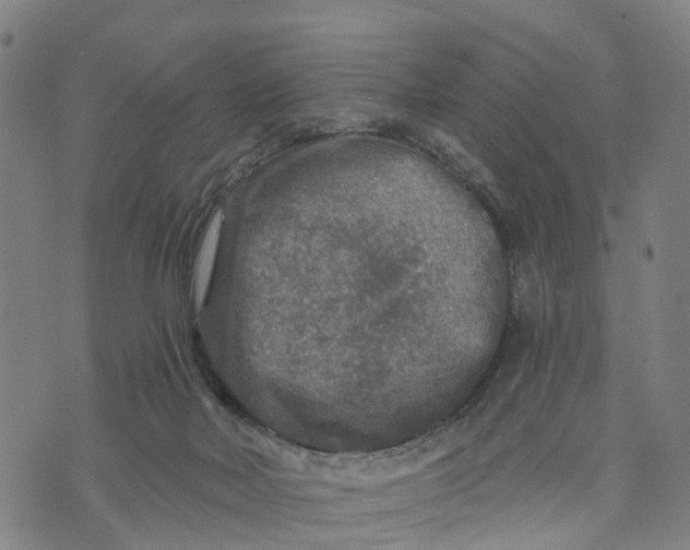 X0000073750026200608241358