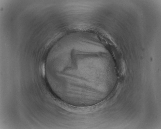 X0000073750027200608241358