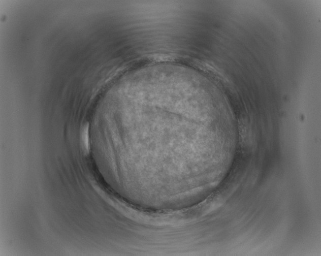 X0000073750028200608241358