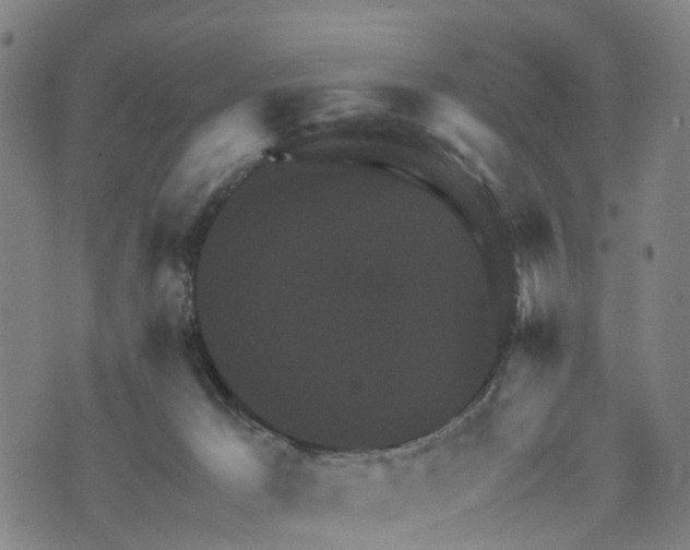 X0000073750029200608241358