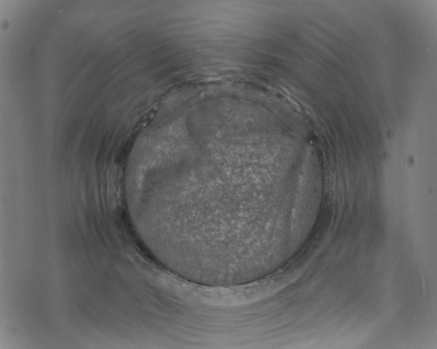 X0000073750030200608241358