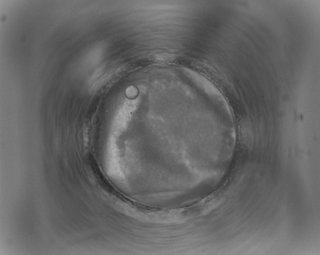 X0000073750032200608241358