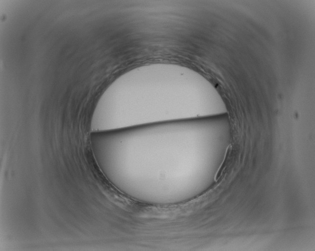 X0000073750033200608241358