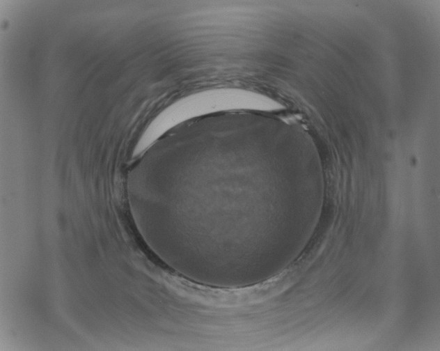 X0000073750035200608241358