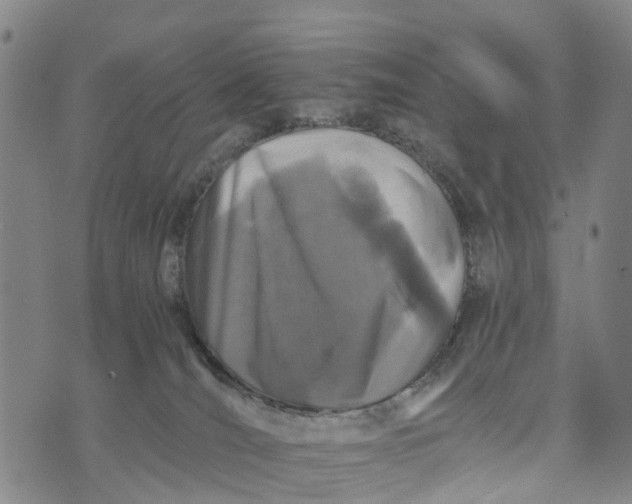 X0000073750036200608241358