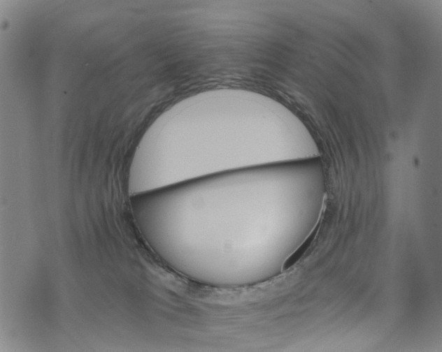 X0000073750037200608241358