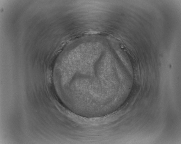 X0000073750038200608241358