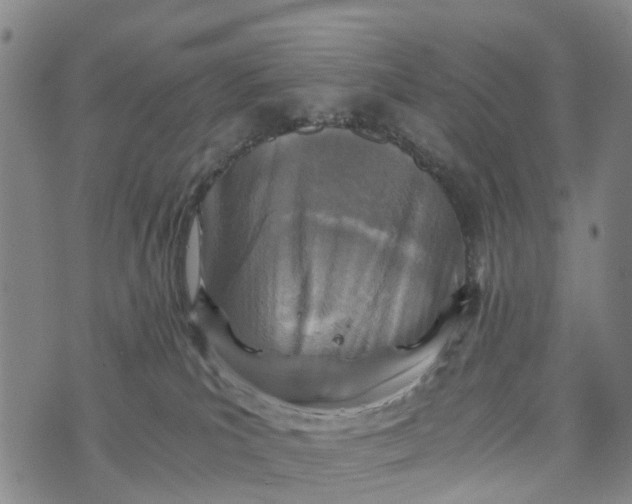 X0000073750039200608241358