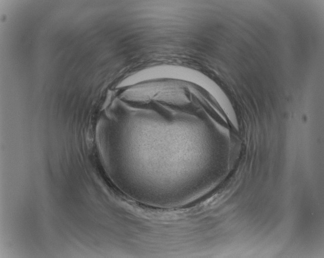 X0000073750040200608241358