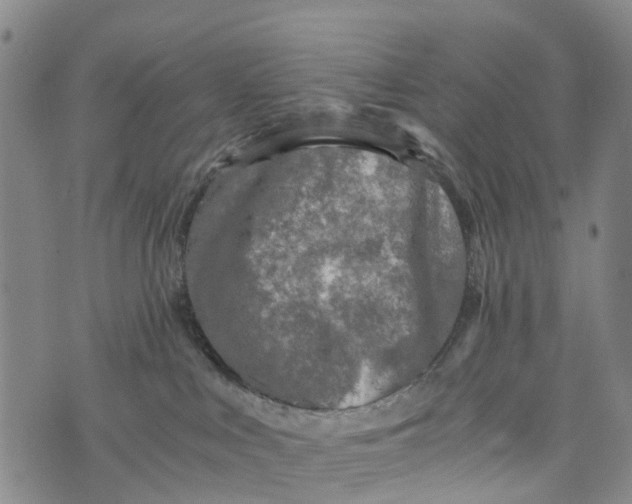 X0000073750043200608241358