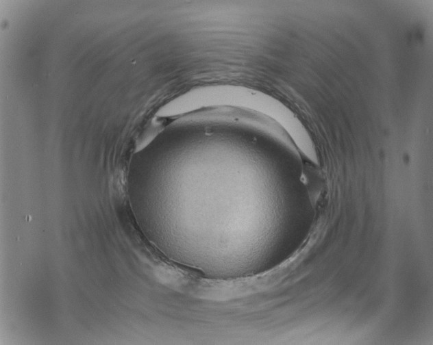 X0000073750045200608241358