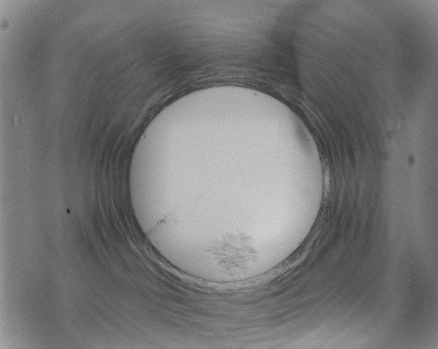 X0000073750046200608241358