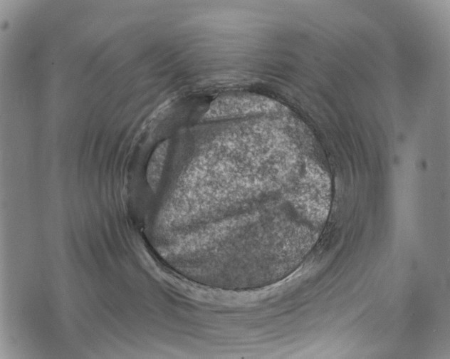 X0000073750048200608241358