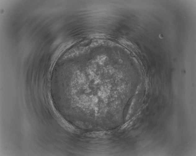 X0000073750049200608241357