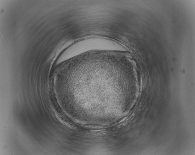 X0000073750050200608241357