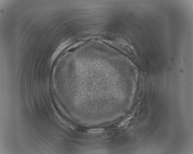 X0000073750051200608241357