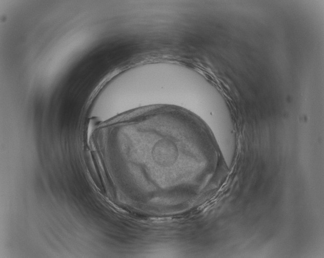 X0000073750052200608241357