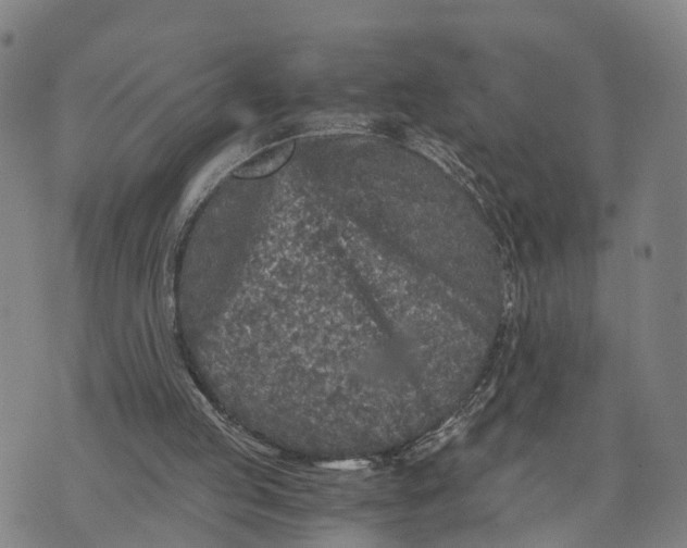 X0000073750053200608241357