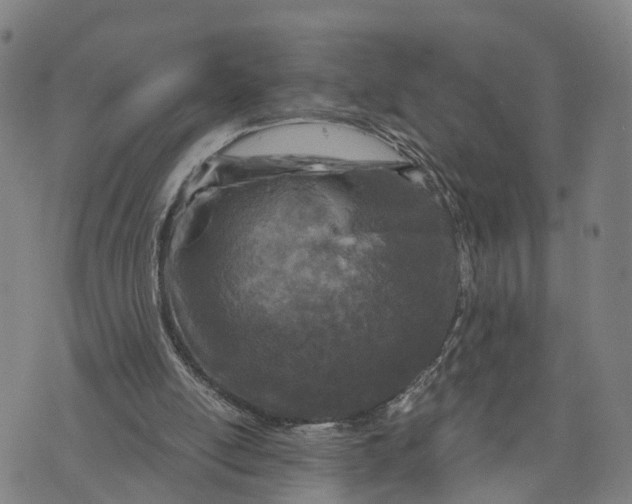 X0000073750054200608241357