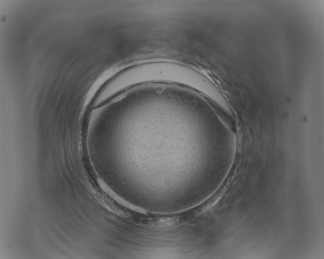 X0000073750056200608241357