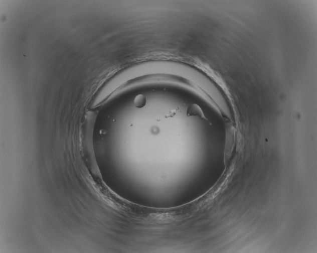 X0000073750057200608241357