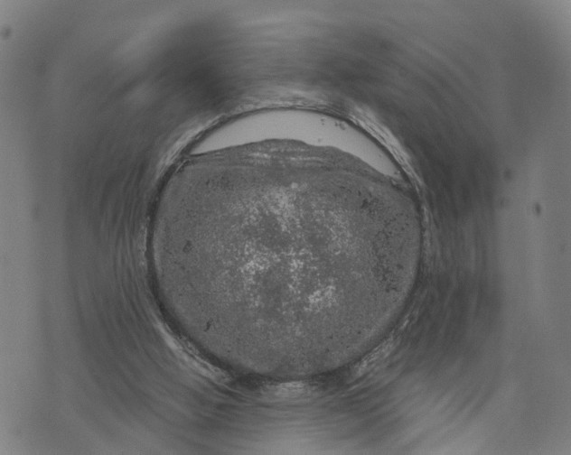 X0000073750058200608241357