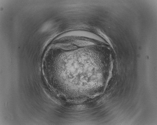 X0000073750059200608241357