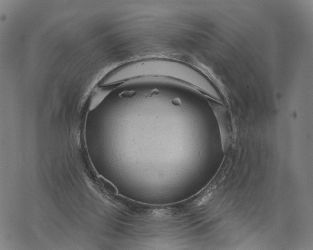 X0000073750060200608241357