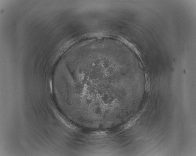 X0000073750061200608241357