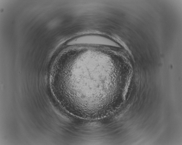 X0000073750063200608241357