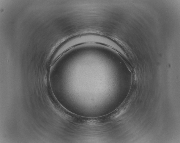 X0000073750064200608241357