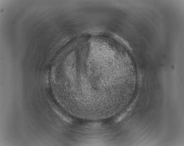 X0000073750065200608241357