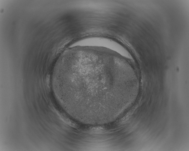 X0000073750066200608241357