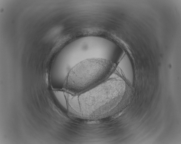 X0000073750067200608241357