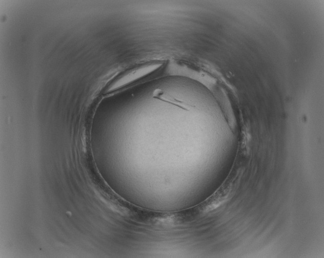 X0000073750068200608241357