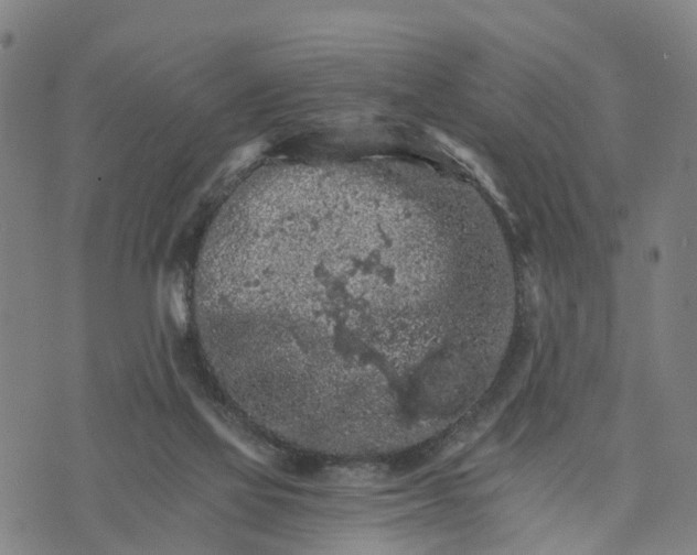 X0000073750069200608241357