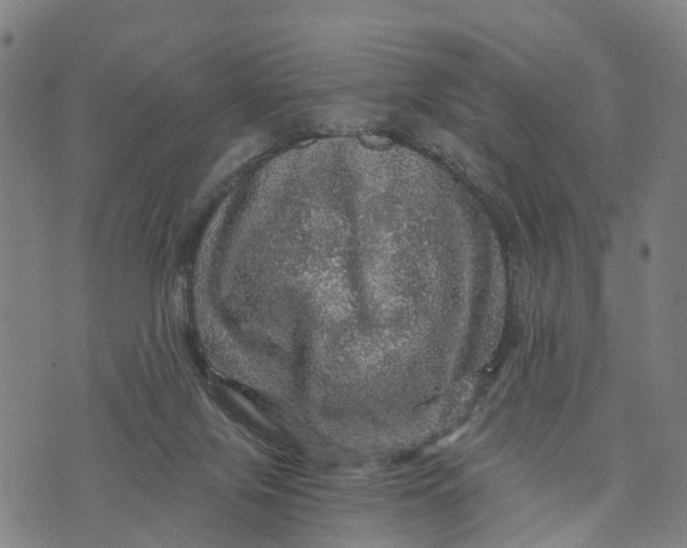 X0000073750071200608241357