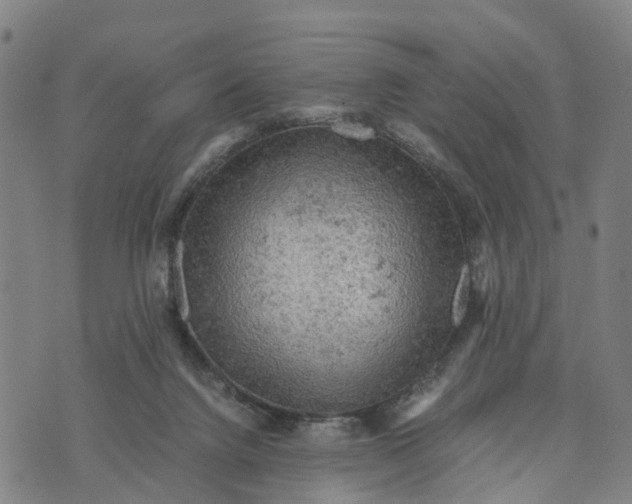 X0000073750072200608241357