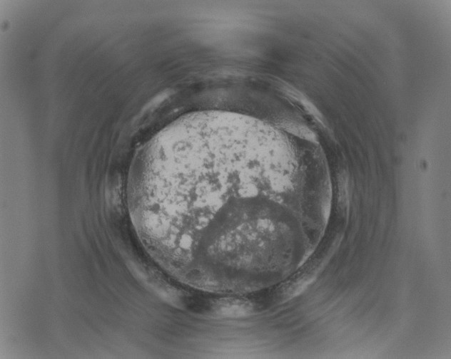 X0000073750073200608241357