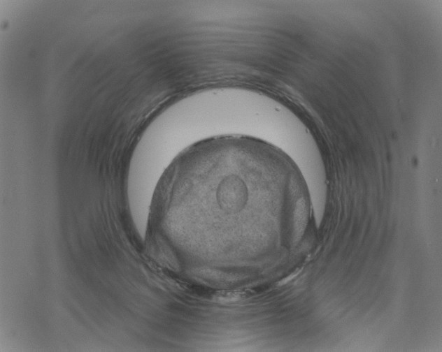 X0000073750076200608241357