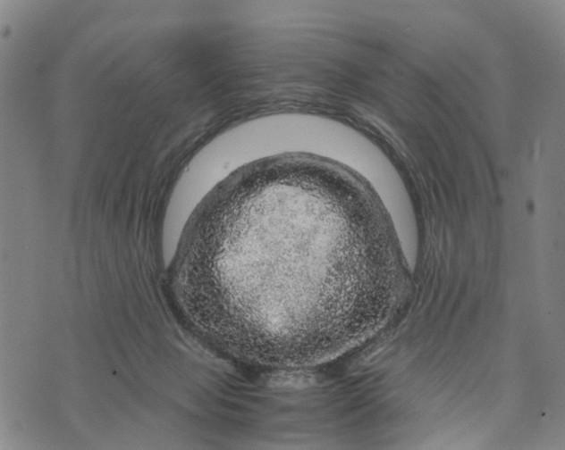 X0000073750077200608241357