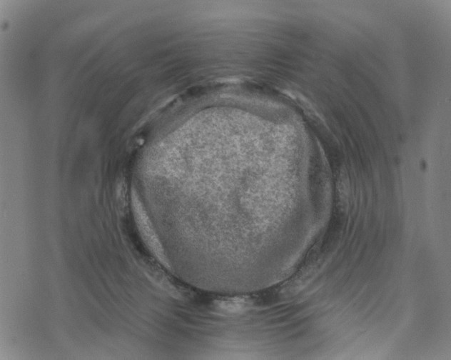 X0000073750079200608241357