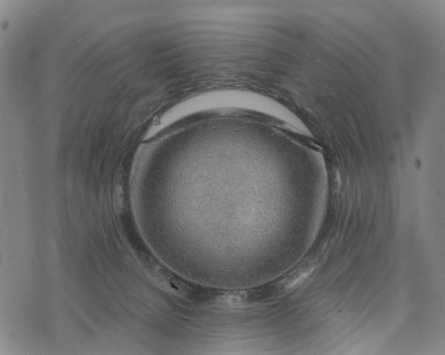 X0000073750080200608241357