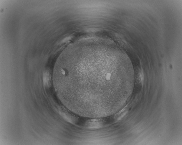 X0000073750082200608241357