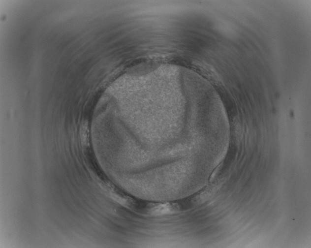 X0000073750083200608241357