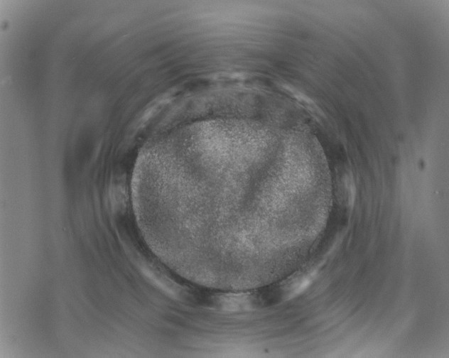 X0000073750085200608241358