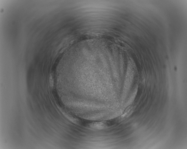 X0000073750086200608241358