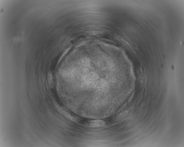 X0000073750087200608241358